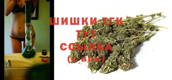 PSILOCYBIN Гусь-Хрустальный