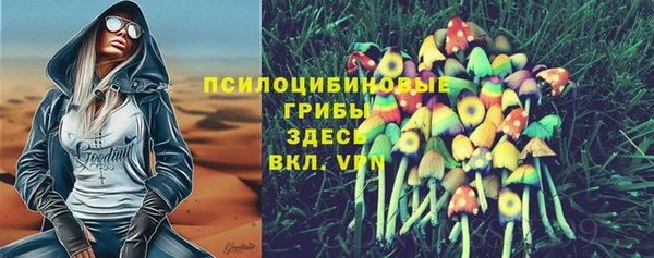 PSILOCYBIN Гусь-Хрустальный