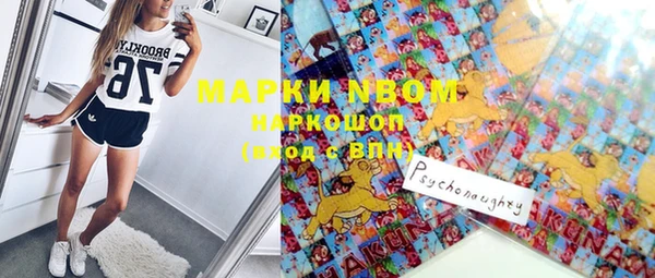 гашик Горнозаводск